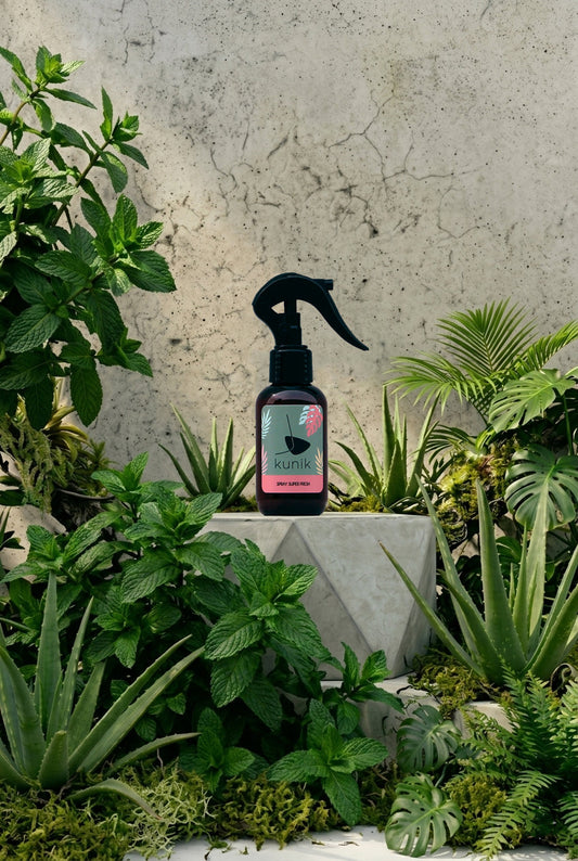 Spray Super Fresh Rinfrescante per Cani