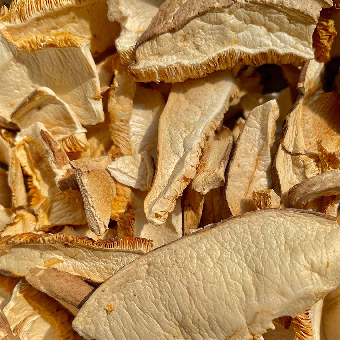 Funghi Shiitake secchi a Fette BIO 8g