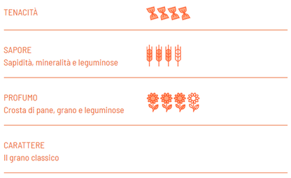 Conchiglie Rigate Biologiche di grano duro