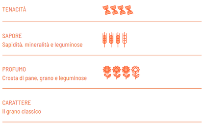 Farfalle Biologiche di grano duro