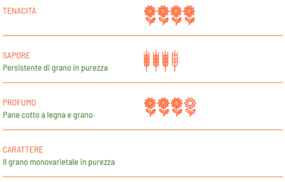 Strozzapreti BIO Senatore Cappelli - Girolomoni