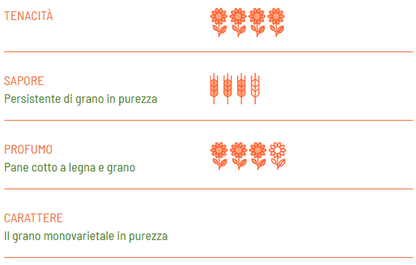 Fusilli Biologici di grano senatore Cappelli
