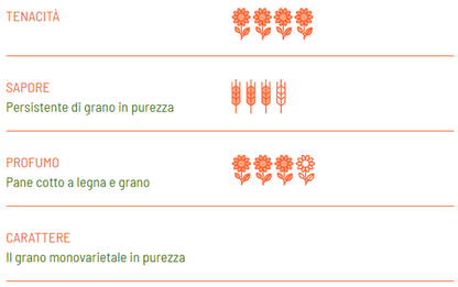 Macarrones BIO Senatore Cappelli - Girolomoni