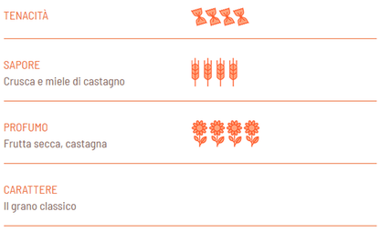 Penne Rigate Integrali Biologiche di grano duro