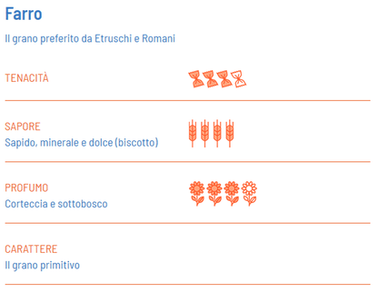 Espaguetis BIO de Espelta - Girolomoni