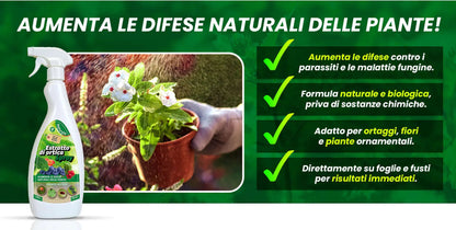 Inseticida Natural para Plantas 750 ml - À Base de Extrato Orgânico de Urtiga - Eficaz Contra Cochonilhas, Pulgões, Ácaro Vermelho e Piolhos - Spray