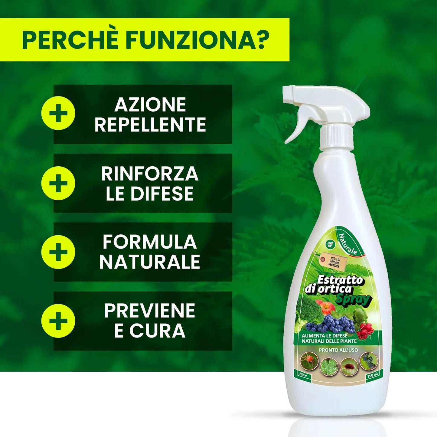 Inseticida Natural para Plantas 750 ml - À Base de Extrato Orgânico de Urtiga - Eficaz Contra Cochonilhas, Pulgões, Ácaro Vermelho e Piolhos - Spray