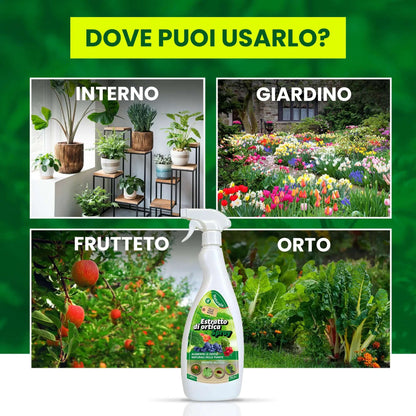 Inseticida Natural para Plantas 750 ml - À Base de Extrato Orgânico de Urtiga - Eficaz Contra Cochonilhas, Pulgões, Ácaro Vermelho e Piolhos - Spray