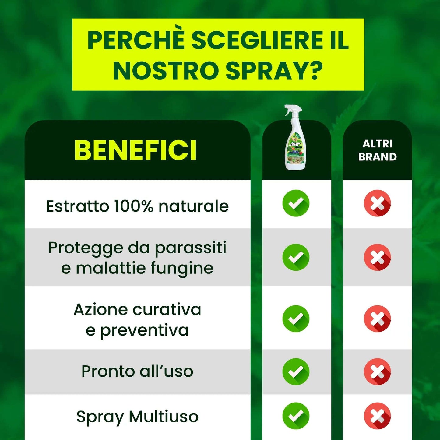 Inseticida Natural para Plantas 750 ml - À Base de Extrato Orgânico de Urtiga - Eficaz Contra Cochonilhas, Pulgões, Ácaro Vermelho e Piolhos - Spray