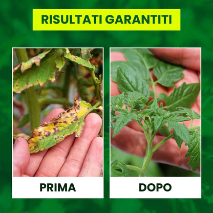 Inseticida Natural para Plantas 750 ml - À Base de Extrato Orgânico de Urtiga - Eficaz Contra Cochonilhas, Pulgões, Ácaro Vermelho e Piolhos - Spray
