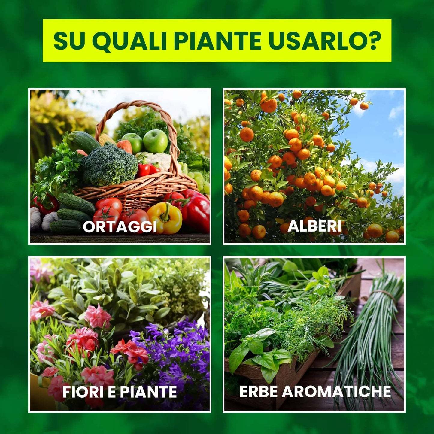 Inseticida Natural para Plantas 750 ml - À Base de Extrato Orgânico de Urtiga - Eficaz Contra Cochonilhas, Pulgões, Ácaro Vermelho e Piolhos - Spray