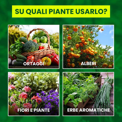 Inseticida Natural para Plantas 750 ml - À Base de Extrato Orgânico de Urtiga - Eficaz Contra Cochonilhas, Pulgões, Ácaro Vermelho e Piolhos - Spray