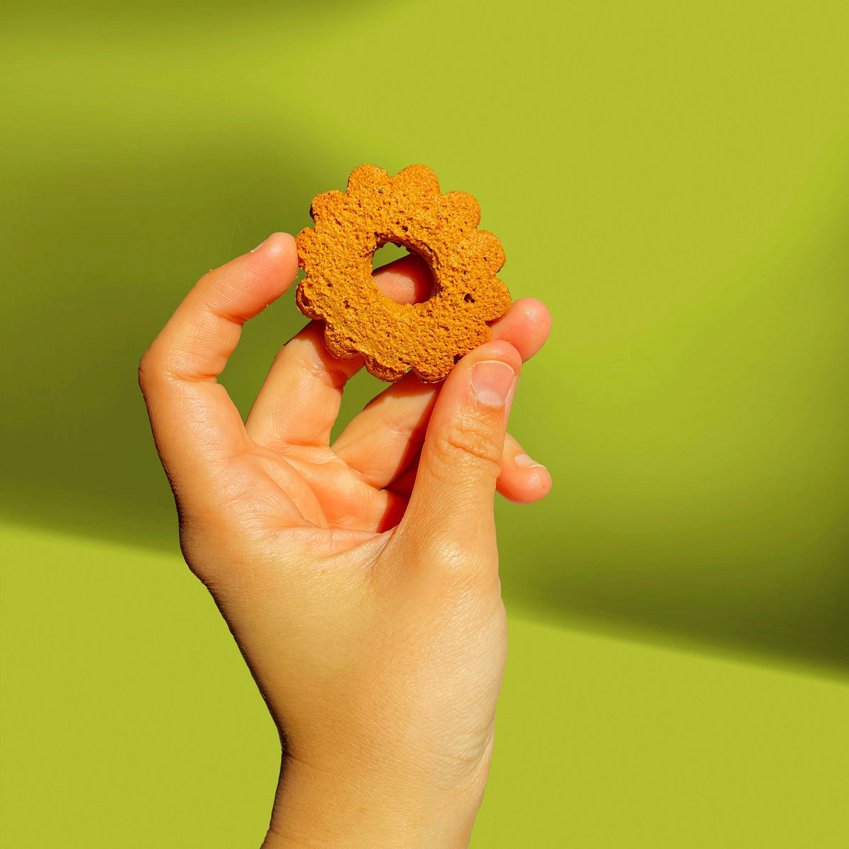 Glutenfreie Biscotti mit Haselnüssen und BIO Kichererbsenmehl 200g
