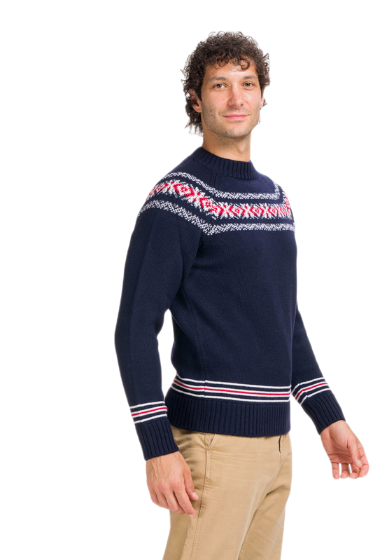 Scandinavie : pull homme raglan en pure laine