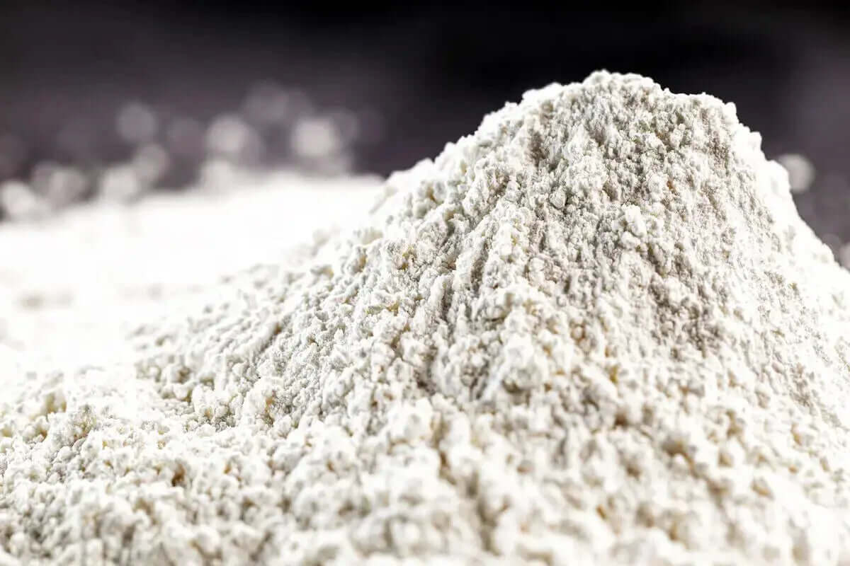 Bionee - Kaolin tonique renforçant les défenses naturelles MOUCHE DE L'OLIVIER 25 kg