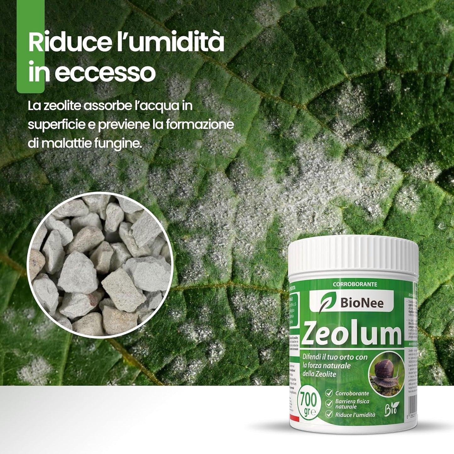 Zeolum – Barrière Naturelle à Base de Zéolite pour Potager et Jardin | Renfort Anti-Limaces pour Usage Amateur | Poudre Sèche ou Pulvérisée | Agriculture Biologique