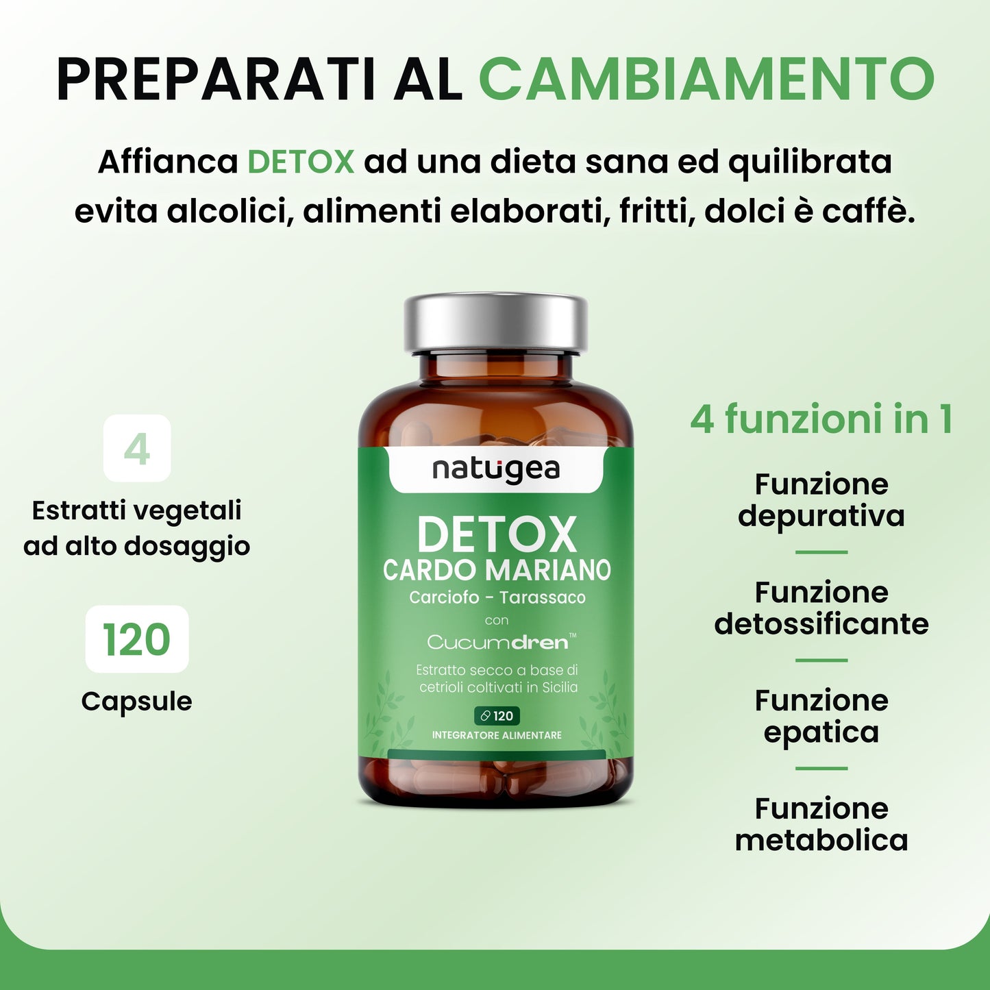 Desintoxicación de Hígado e Intestino con Cardo Mariano y Cucumdren®