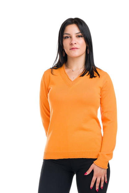 Hilary: camiseta de mujer de manga larga en algodón gasificado con escote en V