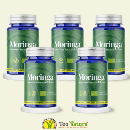 Moringa Oleifera Bio en Cápsulas | 50 Cápsulas