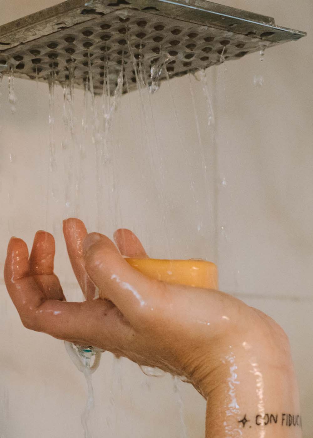 Papayo 2-in-1 solid shampoo and conditioner