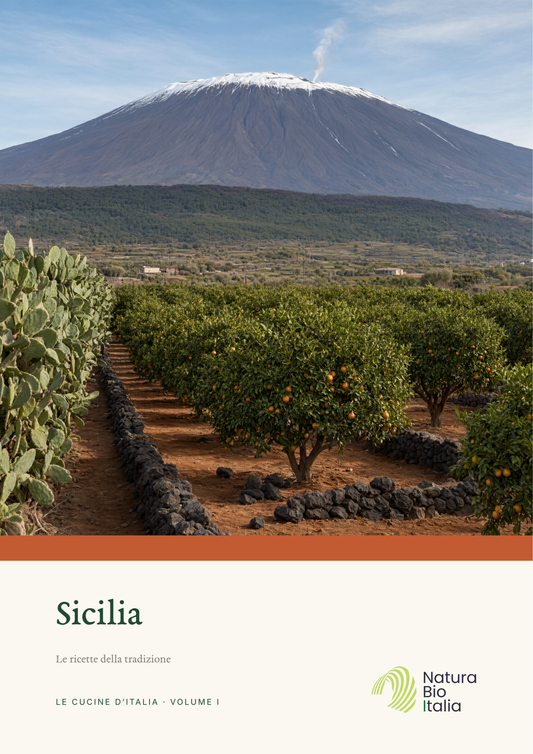 Copertina di Sicilia. Le ricette della tradizione, Volume I della collana Le Cucine d'Italia di Natura Bio Italia
