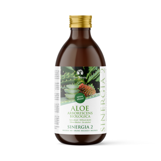 Aloe Arborescens y Miele Padre Zago | SINERGIA 2 | 500ml - Sin Destilado