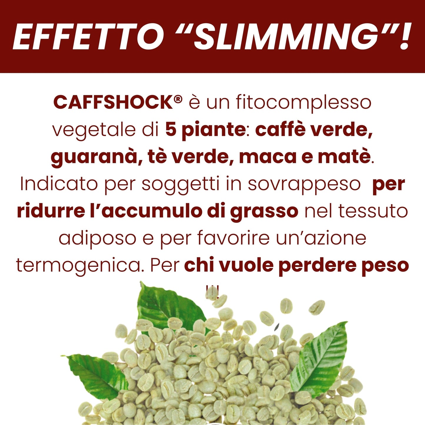 Thermogenique THERMOFAT®